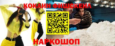 гашик Будённовск