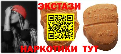 гашик Будённовск
