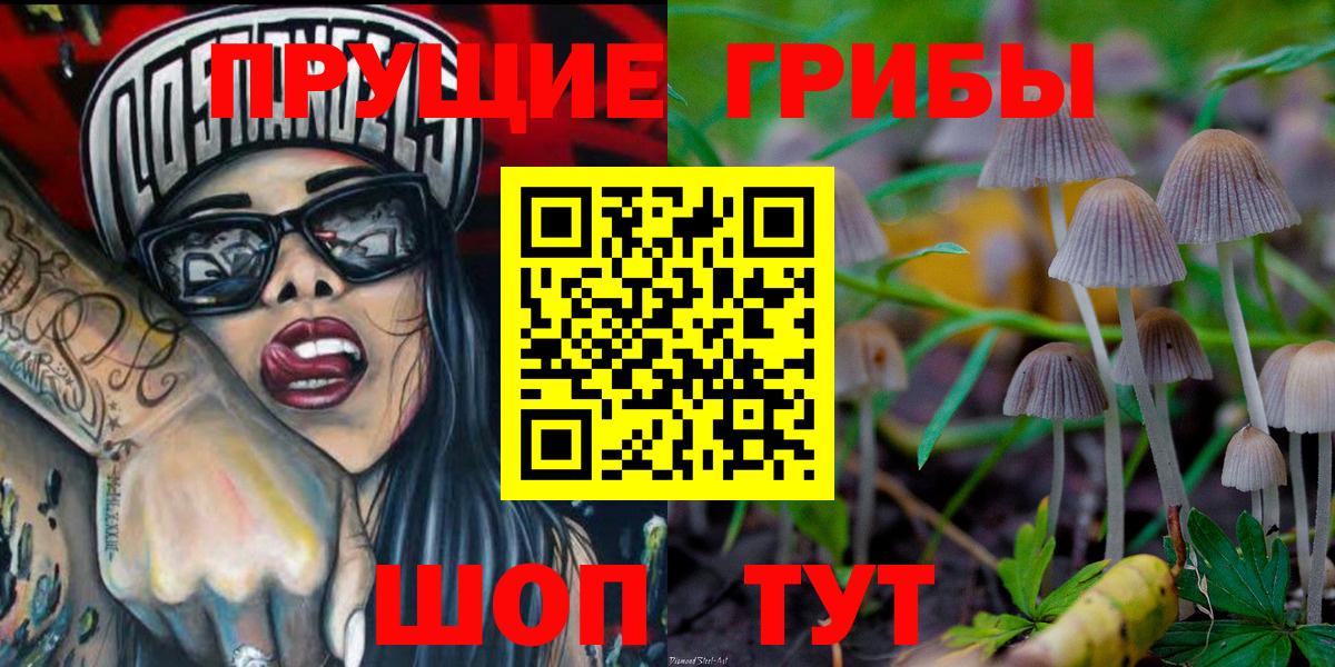 Сергиев Посад  Псилоцибиновые грибы мухоморы  Вход с VPN 