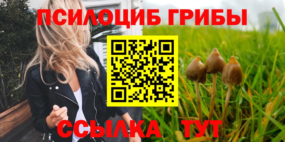 Псилоцибиновые грибы ЛСД Сергиев Посад